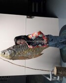 Анкета проститутки Софа - метро Тимирязевский, возраст - 27